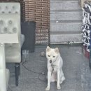 초심한식뷔페
