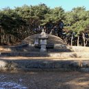 삼한국대부인순흥안씨묘 이미지