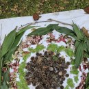 보리수어린이집 | [공지] 아이에게 ‘좋은 하루’를 주고 싶다면