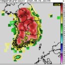 기상청"횡성 AWS(자동기상관측장비) 41.3도 기록(비공식기록)" 이미지