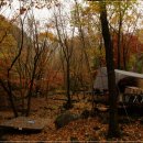 봉화체육관 이미지