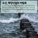 주식회사 가두리 이미지