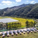 캠핑 앨리스 이미지