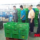 춘천원예농협 산지유통센터 이미지