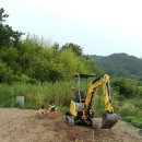 채연농장 이미지