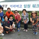 영산로 288 Daum카페