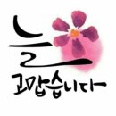 🌹11월 20일 수요일 강방 출석부🌹 이미지