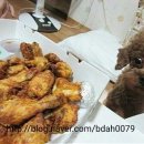 불당동물병원 이미지