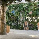 네이처픽 이미지