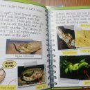 (주)플라이닥터 이미지