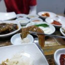 돼지촌나라 이미지