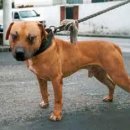 메이데이 이미지