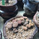 복길농장 이미지