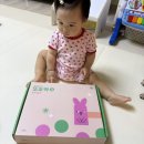엄마랑 그림책 놀이(1기) | 그레이트북스 베베랑마마랑 10개월 아기전집 들인 후기 돌아기책 유아교구 추천