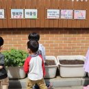 어울림숲어린이집 이미지