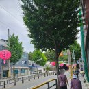 부산 연산동 도심 속 사찰 혜원정사 부처님 오신 날 방문 후기(공양)