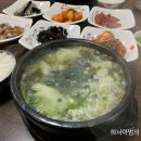 초록다슬기