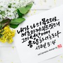 성산에서 Daum카페