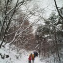 명지대학교 부동산대학원 이미지