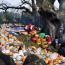 와흘본향당 이미지