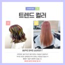 헤어실무 이미지