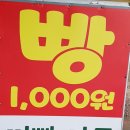 조가네대왕카스테라