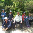 우면산5-4 이미지