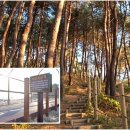 백도까페 펜션 네이버블로그