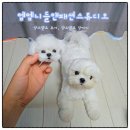 엠엠니들앤패션스튜디오 양모펠트 귀여운 반려동물양모펠트키링 제작 후기