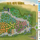 몽산포 야영장 이미지