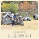 다~놀자 | 아이 체력 방전각! 실내·실외 다 되는 놀자숲 체험 후기