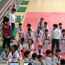 우암태권도장 네이버블로그