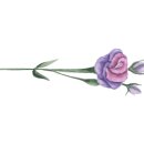 아리울초교1 이미지