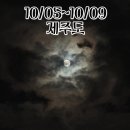 중문타이어 | 차 가지고 완도항에서 제주항 실버클라우드호타고 애견동반 제주도 여행 다녀오기