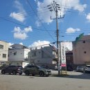[울산 중구 태화강 백년가게 블루리본 맛집] 대일함흥냉면 내돈내산 후기