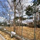 [ 초코튜브 ] IFC 몰 갔다가 여의도 공원 산책하기