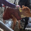 한산한우농장 이미지