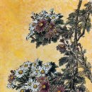 모리폴리 이미지