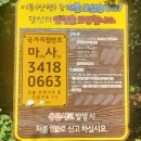 태백고원 700 산소길 | 태백 연화산 둘레길 : 태백고원 900 산소길 한바퀴