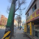 엘피스의료기 이미지