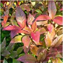 솔로몬보육원 이미지