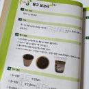 친환경 화분 만들기 이미지