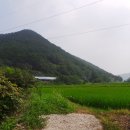 사기소리 이미지