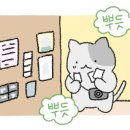 왁싱에진심 이미지