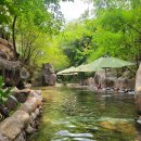 피부야 놀자 | 다낭 누이탄타이, 빡빡한 여행 중 꿀같은 휴식! 놀자스테이션과 함께한 온천 후기