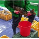 이도수산 이미지