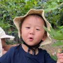 소이농장 이미지