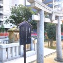 대길선박 | 후쿠오카여행 : 스미요시신사 오미쿠지 새해운세 대길