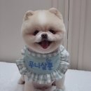 뚜니살롱 이미지