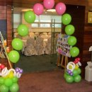 영스포렉스 이미지